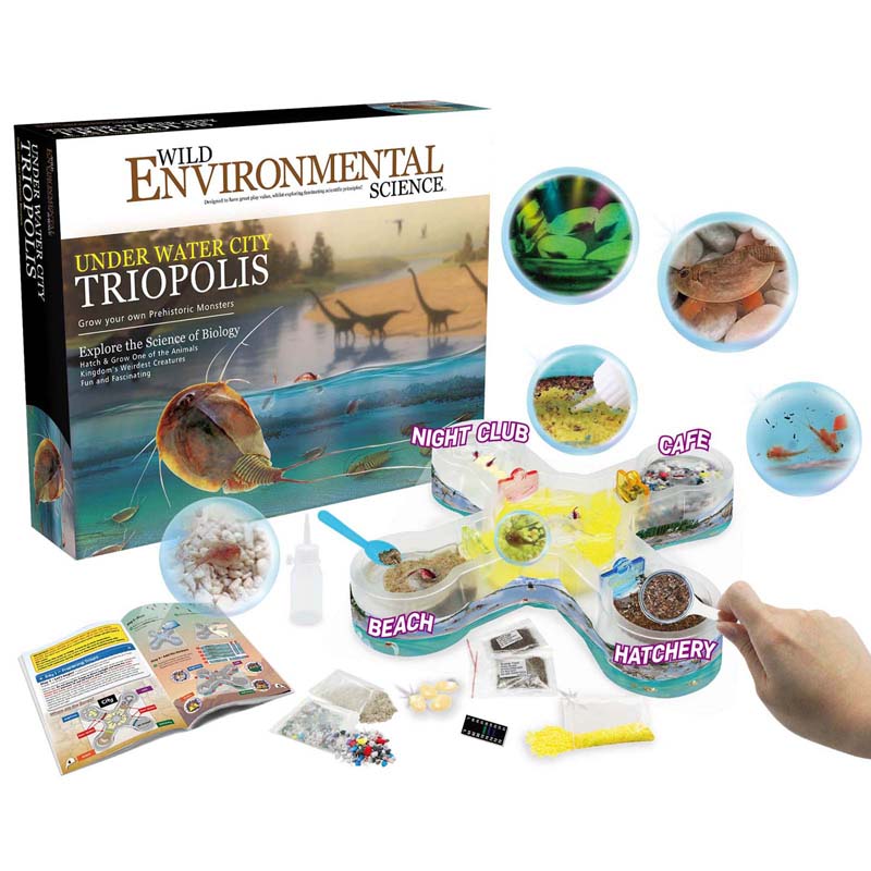 WILD ENVIRONMENTAL SCIENCE Under Water City Triopolis - Science Kit for  Ages 8+ - Hatch Triassic Dinosaur Living Fossils - Eggs and Tank Included