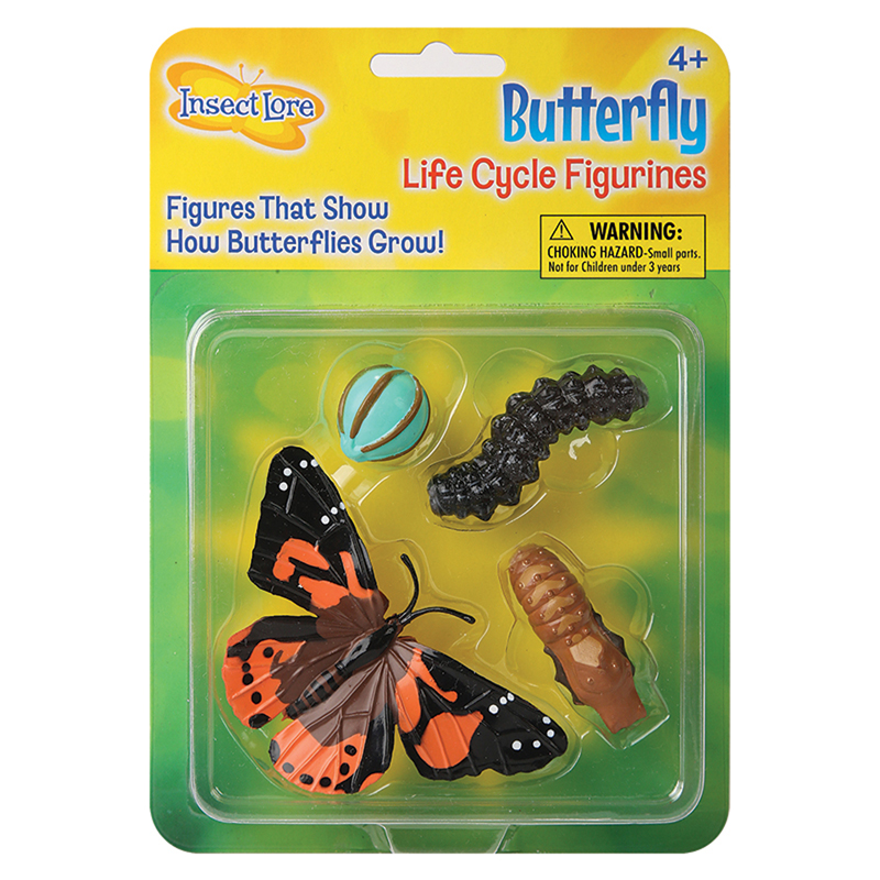 Butterfly Life Cycle Stages  ILP4760